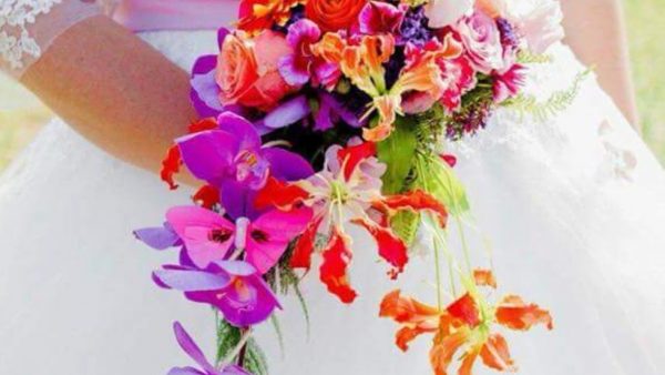 image00030