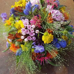 image00002